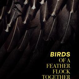 Titelbild des Buches "Bird of a Feather Flock Together"