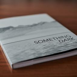 Buchcover von "Something Dark"