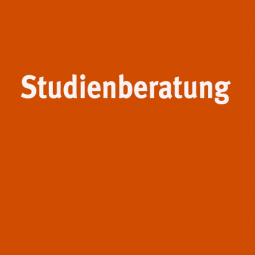 Mappen- & Studienberatung Bachelor Film und Sound - Schwerpunkt Film