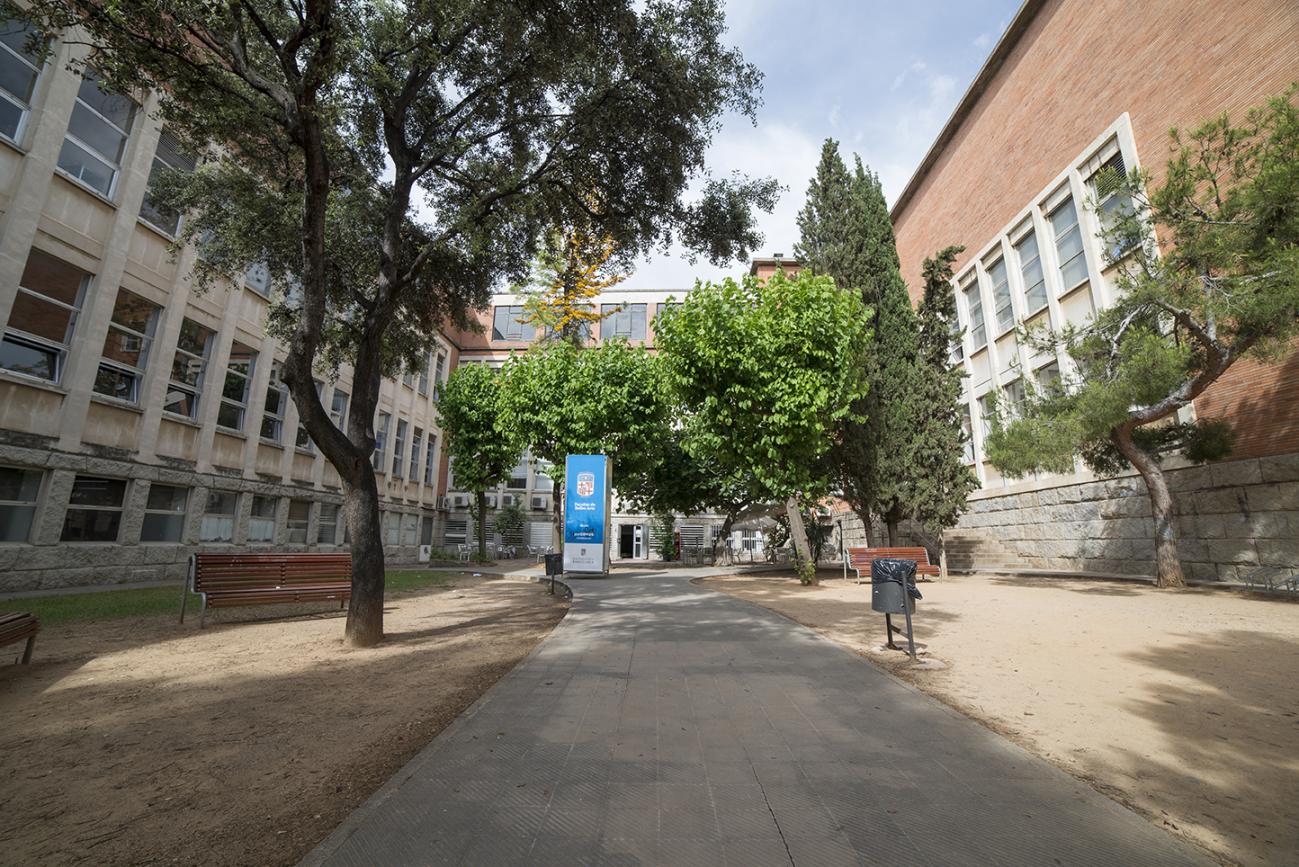 Universitat de Barcelona, Facultad de Bellas Artes