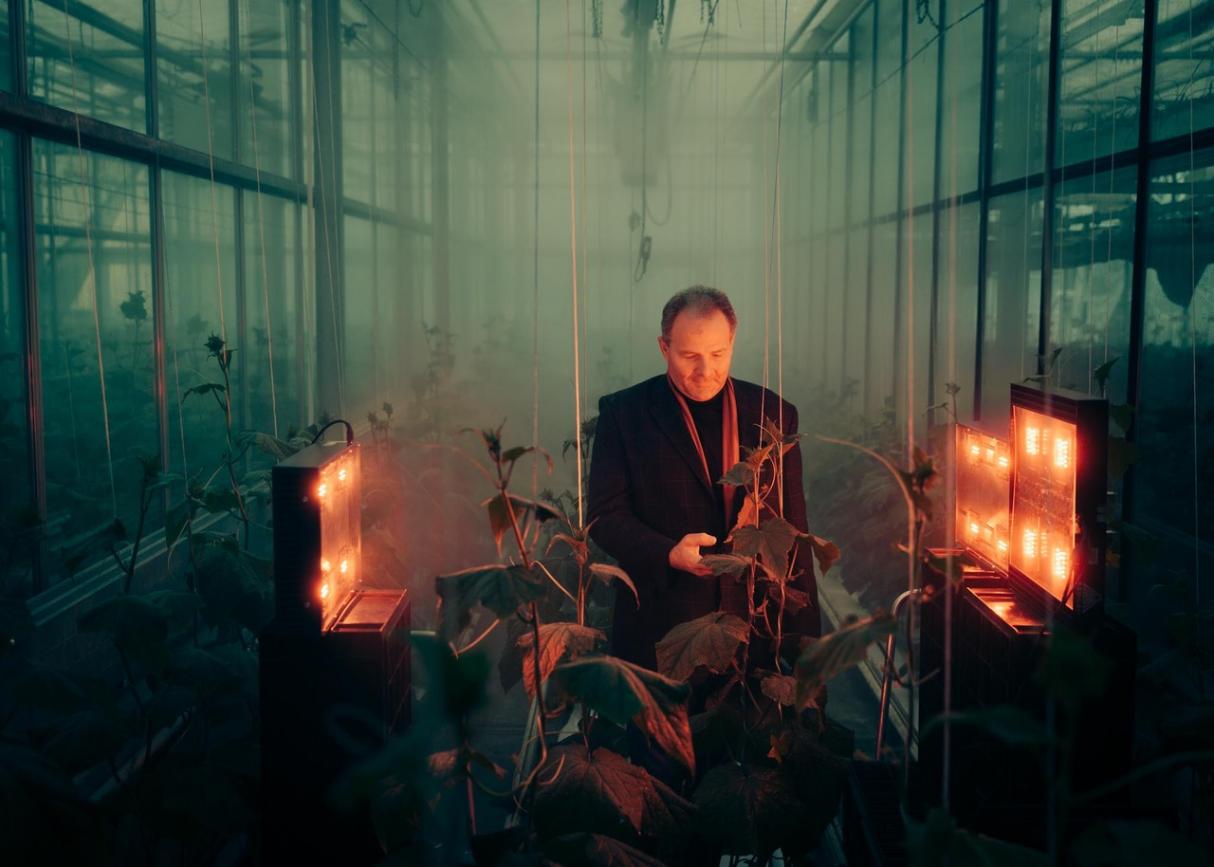 Ein Man beobachtet Pflanzen