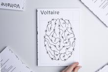 Voltaire #4