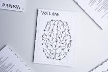 Voltaire #4