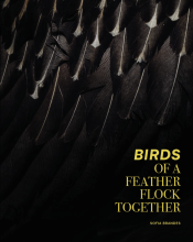 BIRDS - Sofia Brandes